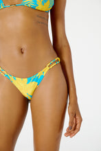 Carregar imagem no visualizador da galeria, Image 07: Blueman Bottom Bottom Ubatuba Orquidario