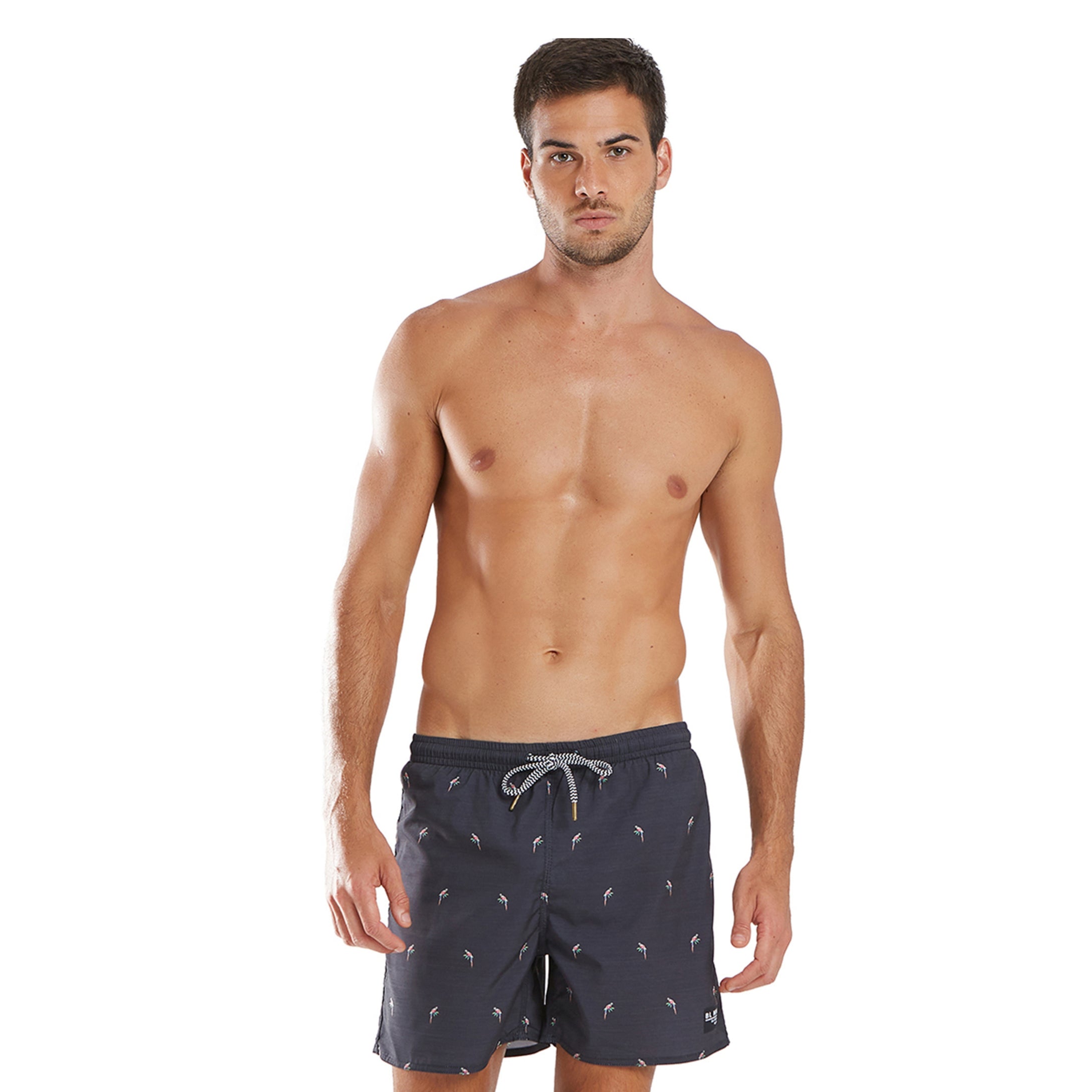 Short Vanguarda